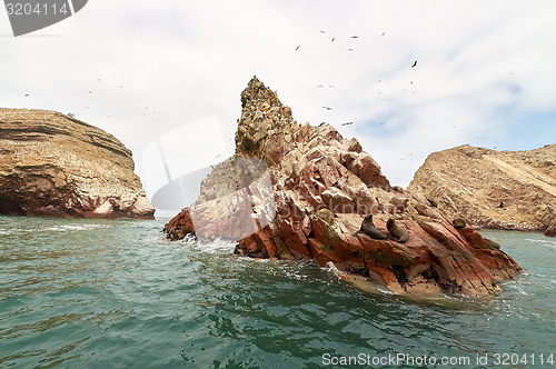 Image of sea lion on rocky formation Islas Ballestas, paracas