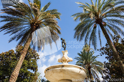 Image of Seville Alcazar Garden