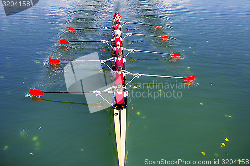 Image of Boat coxed eight Rowers rowing