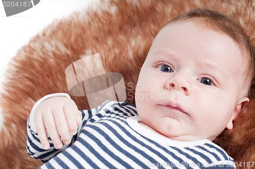 Image of Portrait of adorable baby lying on fur