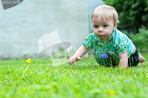 Image of Cute baby crawling in the grass