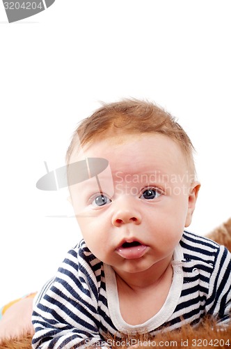 Image of Portrait of cute baby boy lying on fur