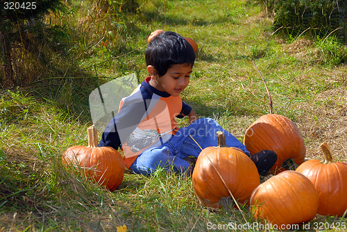 Image of Pumpkins