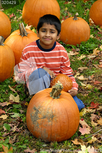 Image of Pumpkins