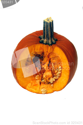 Image of Pumpkins