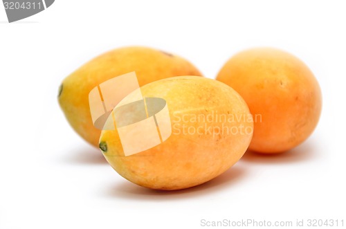 Image of Sweet Marian plum