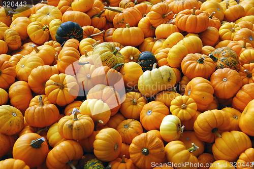 Image of Pumpkins