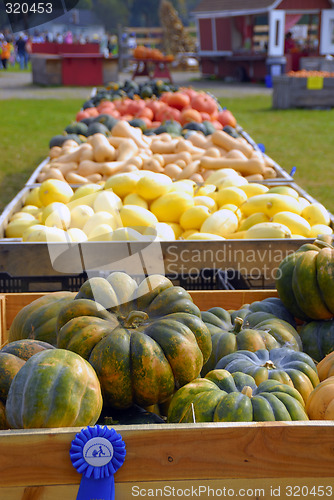 Image of Harvest