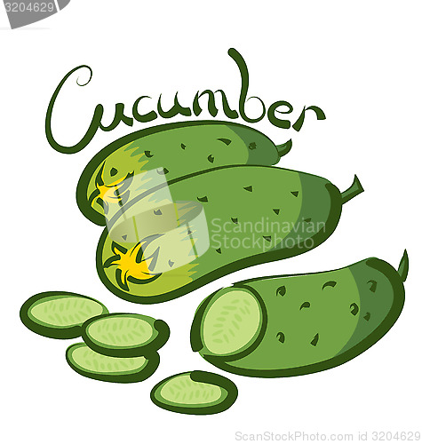 Image of Vector ?ucumber