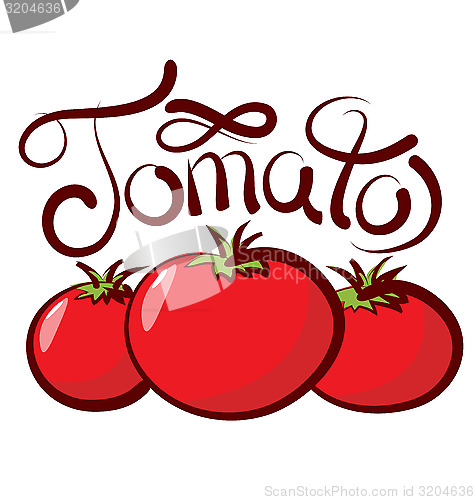Image of Vector Tomato