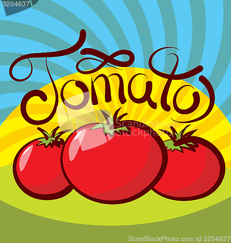 Image of Vector Tomato