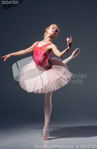 Image of Portrait of the ballerina in ballet pose