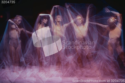 Image of photo as art - a sensual and emotional dance of beautiful ballerina through the veil 