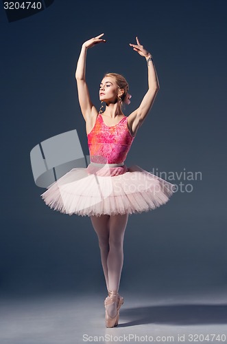 Image of Portrait of the ballerina in ballet pose