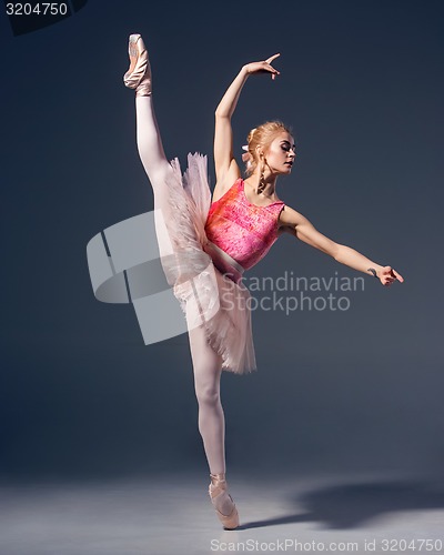 Image of Portrait of the ballerina in ballet pose