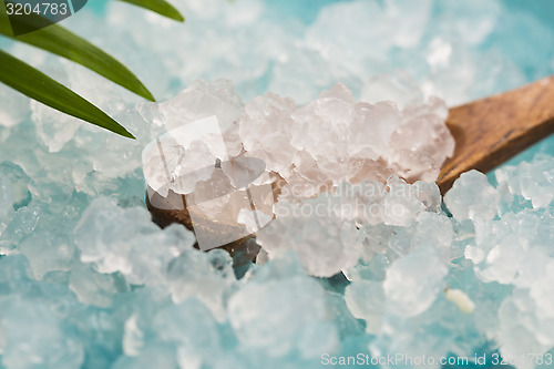 Image of Water kefir grains