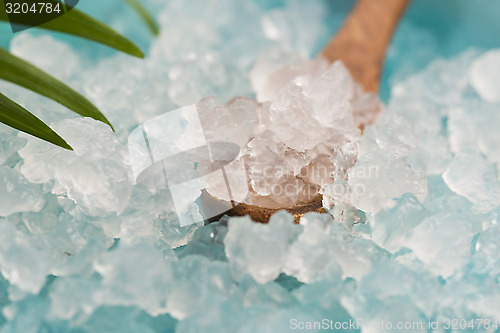 Image of Water kefir grains