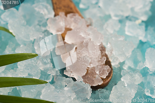 Image of Water kefir grains