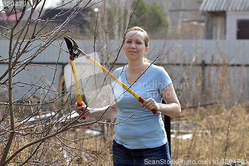 Image of The woman in a garden cuts off branches secateurs with long hand