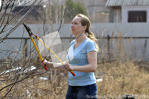 Image of The woman in a garden cuts off branches secateurs with long hand