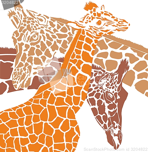 Image of Giraffe colored heads