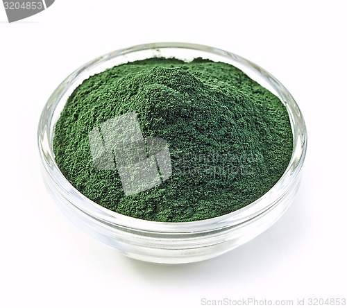 Image of bowl of spirulina algae powder