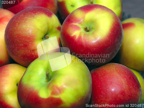 Image of Apples