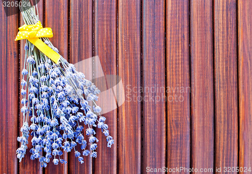 Image of lavender