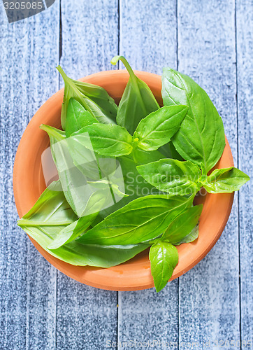 Image of fresh basil