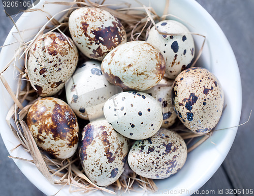 Image of quail eggs