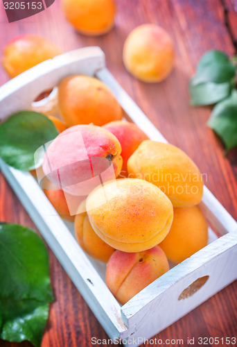 Image of apricots