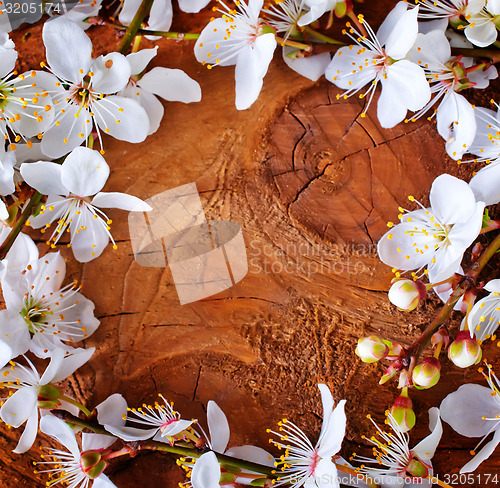 Image of background