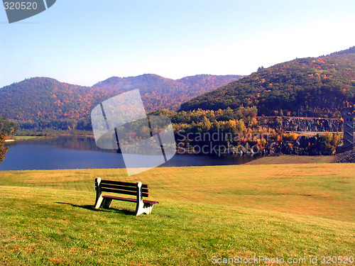 Image of Fall Foliage