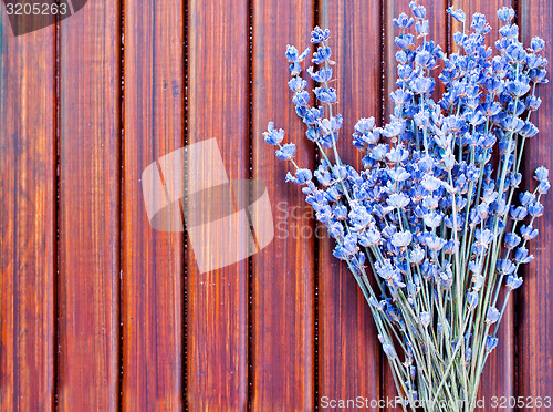 Image of lavender