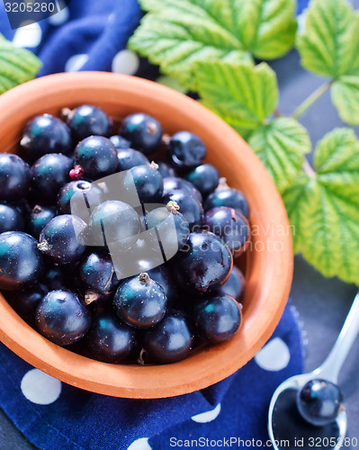Image of black currant