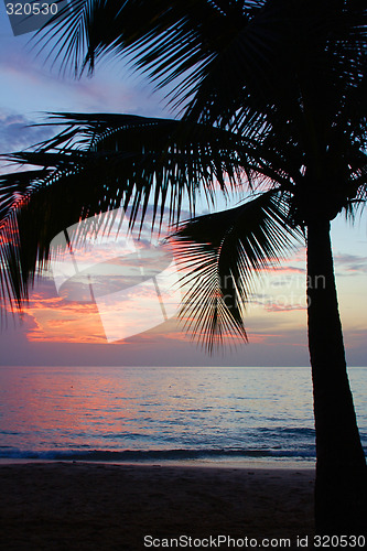 Image of Tropical Sundown