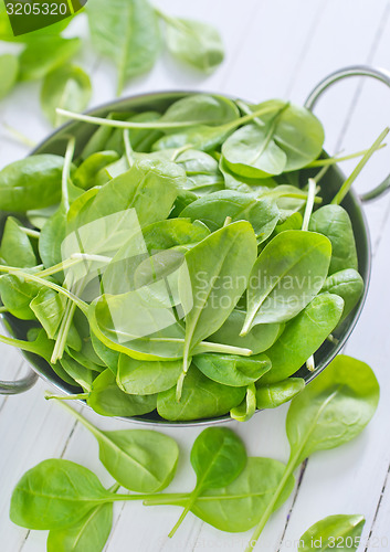 Image of spinach