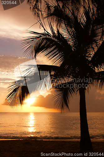 Image of Tropical Sundown