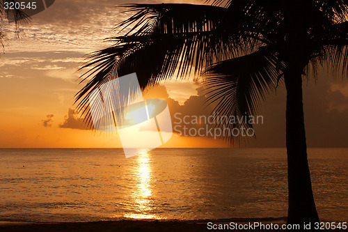 Image of Tropical Sundown