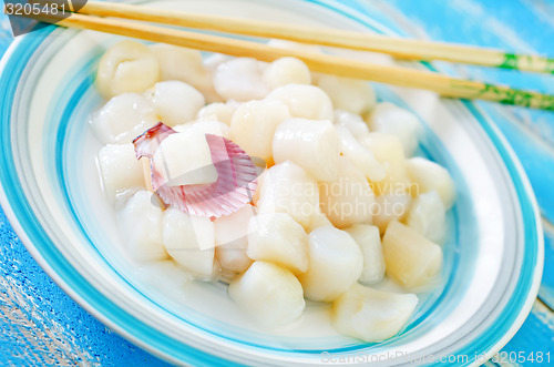 Image of scallop