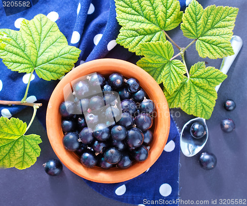 Image of black currant