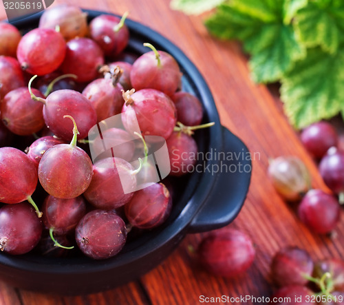 Image of fresh berries