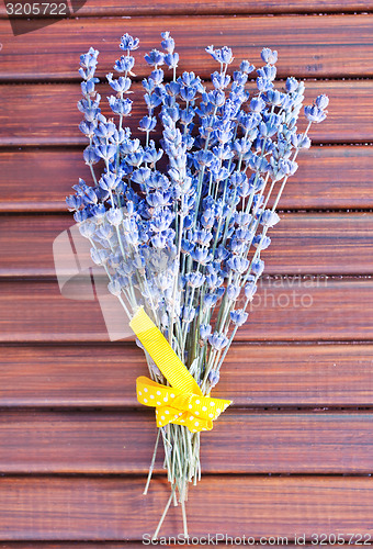 Image of lavender