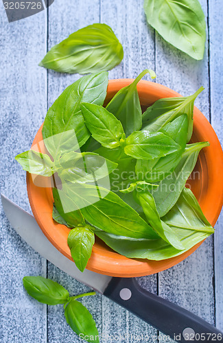 Image of fresh basil