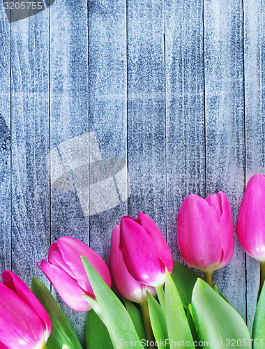 Image of tulips