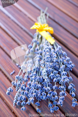 Image of lavender