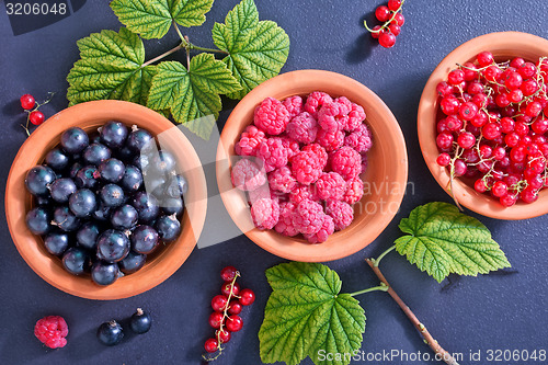 Image of berries