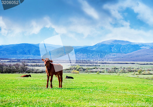 Image of rural landscape