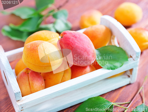 Image of apricots