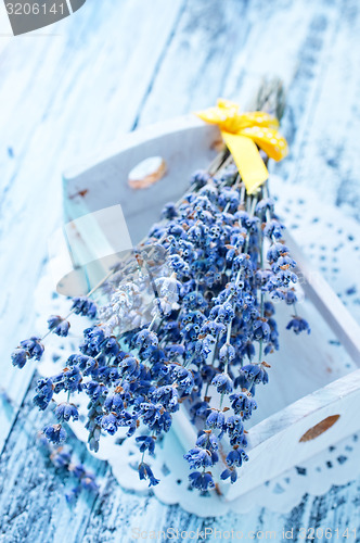 Image of lavender